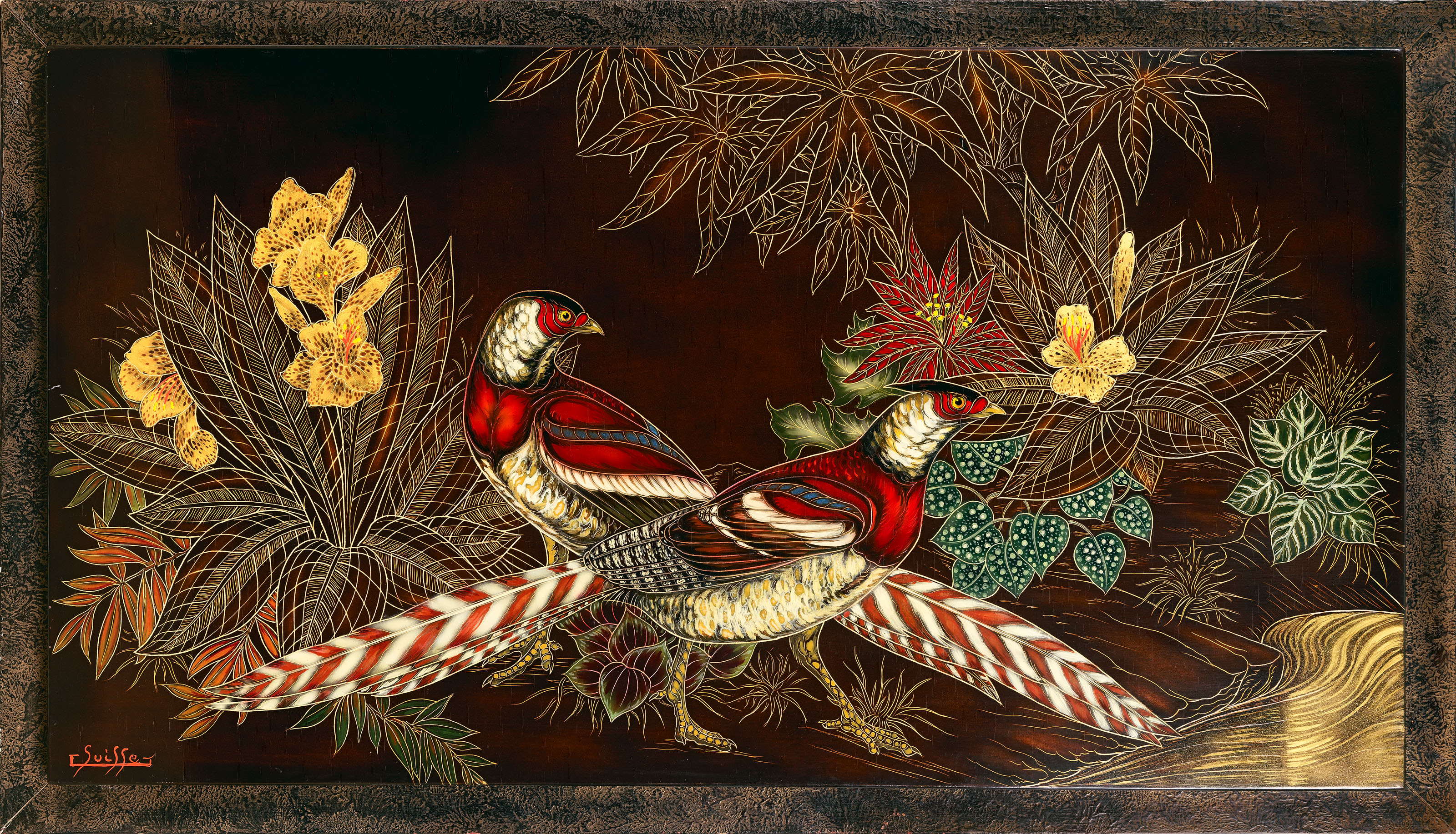 Faisans Elliot, vers 1950.